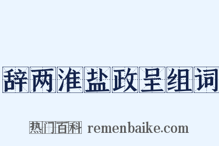 辞两淮盐政呈组词是什么意思的图片